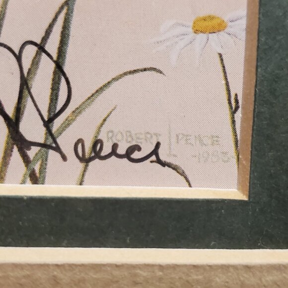 "Bluebirds & Daisies" Small Framed Print By Robert Pence - Picture 4 of 6